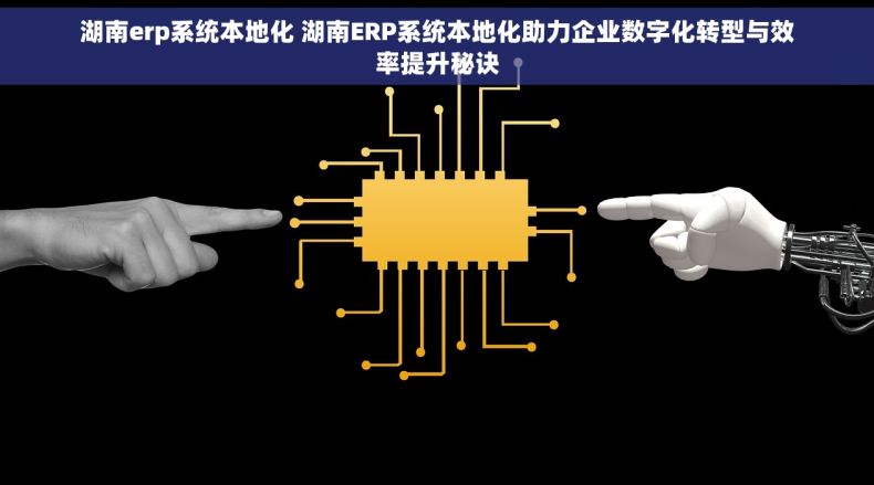 湖南erp系统本地化 湖南ERP系统本地化助力企业数字化转型与效率提升秘诀