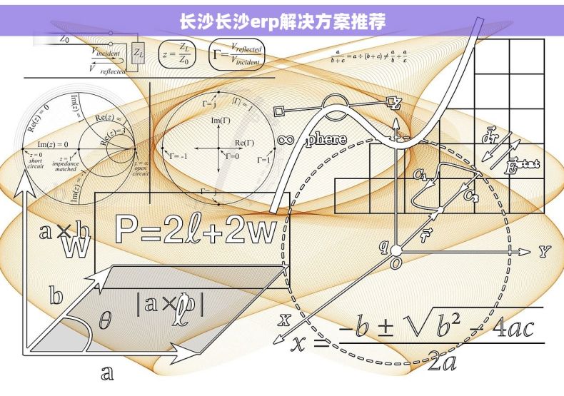 长沙长沙erp解决方案推荐