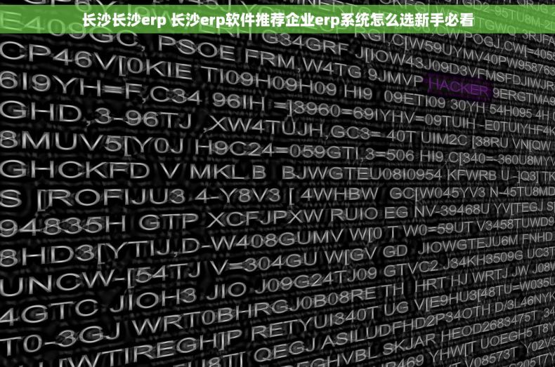 长沙长沙erp 长沙erp软件推荐企业erp系统怎么选新手必看