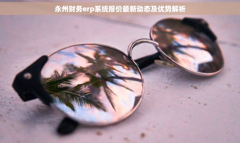 永州财务erp系统报价最新动态及优势解析