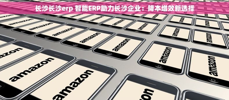长沙长沙erp 智能ERP助力长沙企业：降本增效新选择