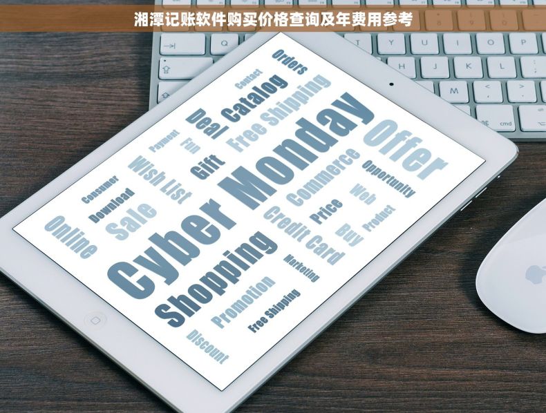 湘潭记账软件购买价格查询及年费用参考