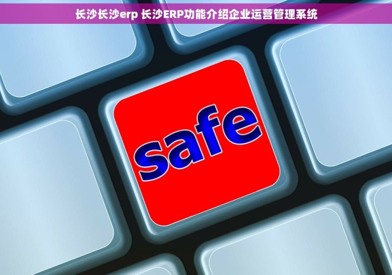 长沙长沙erp 长沙ERP功能介绍企业运营管理系统