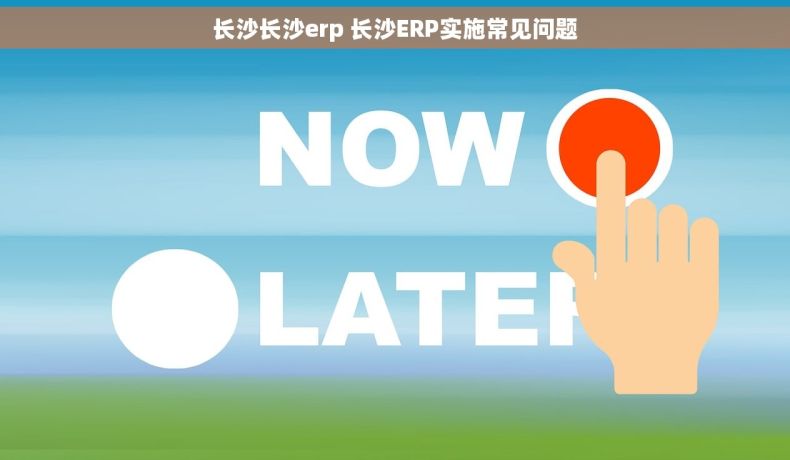 长沙长沙erp 长沙ERP实施常见问题