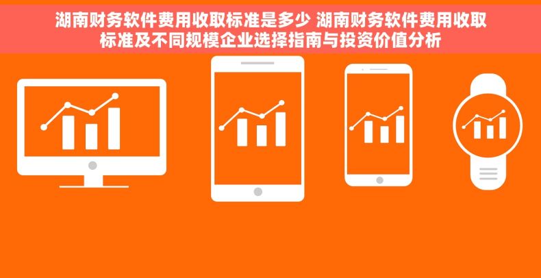 湖南财务软件费用收取标准是多少 湖南财务软件费用收取标准及不同规模企业选择指南与投资价值分析