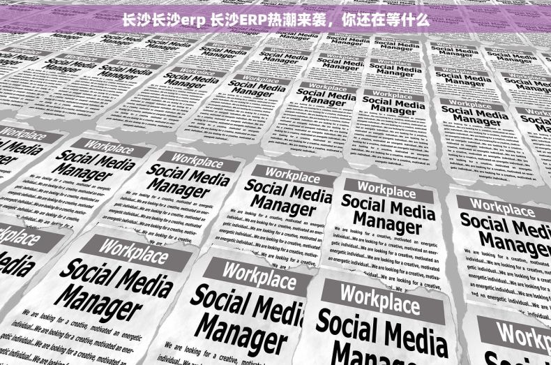 长沙长沙erp 长沙ERP热潮来袭，你还在等什么