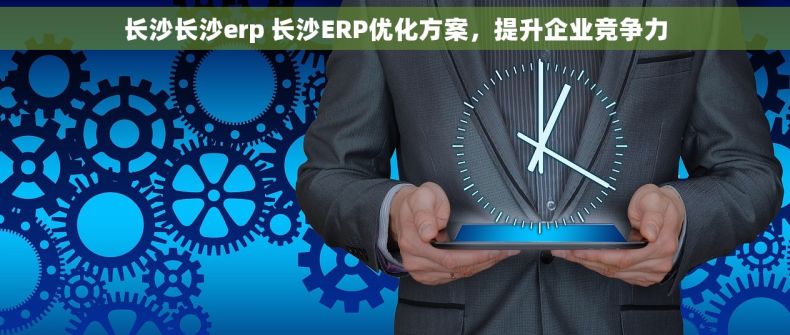 长沙长沙erp 长沙ERP优化方案，提升企业竞争力