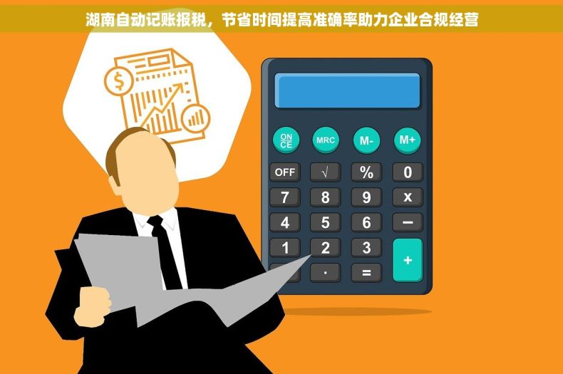 湖南自动记账报税，节省时间提高准确率助力企业合规经营