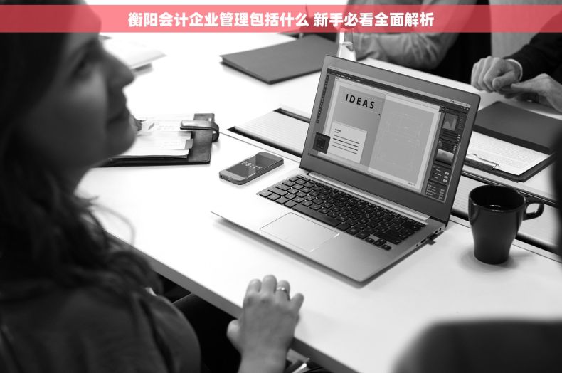 衡阳会计企业管理包括什么 新手必看全面解析