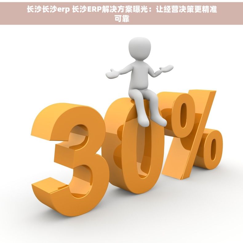 长沙长沙erp 长沙ERP解决方案曝光：让经营决策更精准可靠