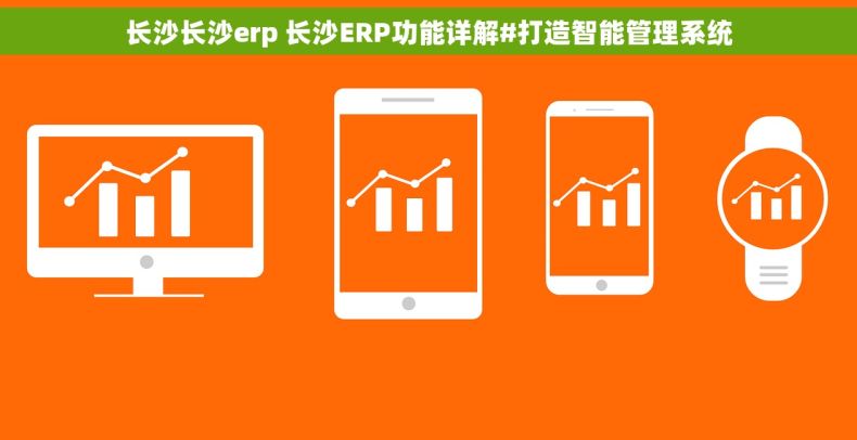 长沙长沙erp 长沙ERP功能详解#打造智能管理系统