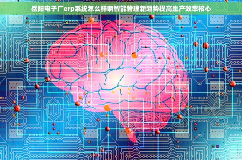 岳阳电子厂erp系统怎么样啊智能管理新趋势提高生产效率核心