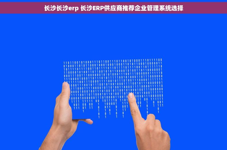 长沙长沙erp 长沙ERP供应商推荐企业管理系统选择