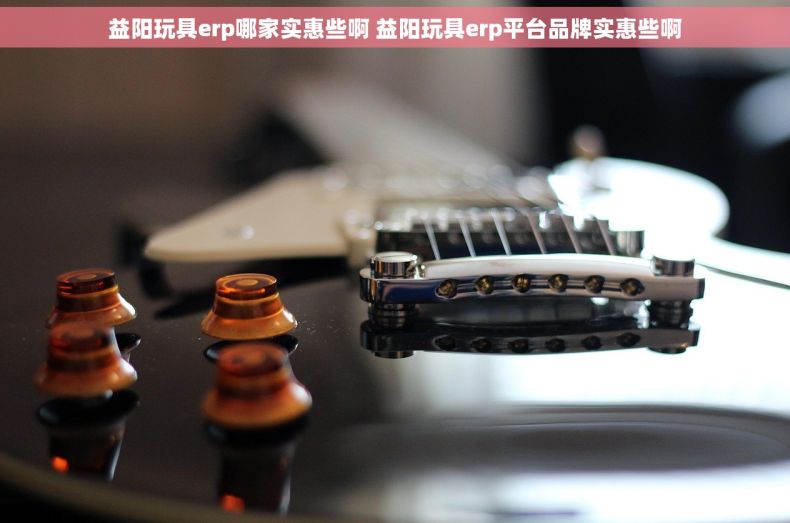 益阳玩具erp哪家实惠些啊 益阳玩具erp平台品牌实惠些啊