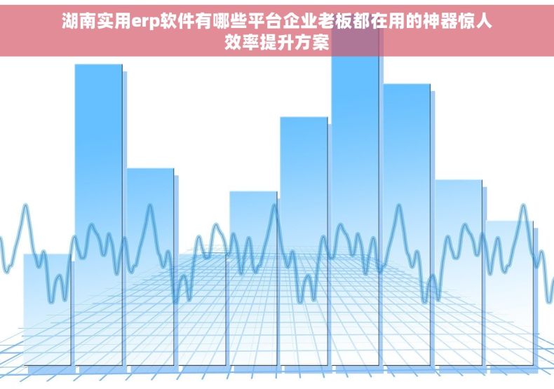 湖南实用erp软件有哪些平台企业老板都在用的神器惊人效率提升方案