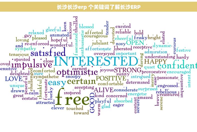 长沙长沙erp 个关键词了解长沙ERP