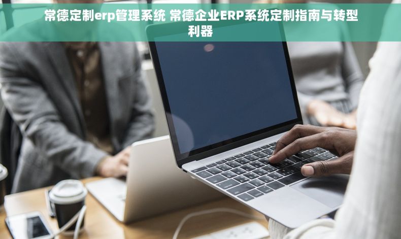 常德定制erp管理系统 常德企业ERP系统定制指南与转型利器