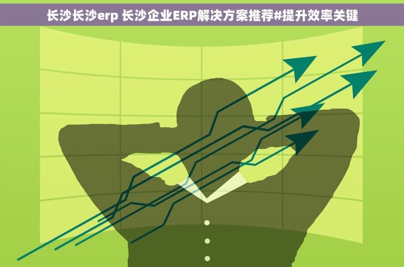 长沙长沙erp 长沙企业ERP解决方案推荐#提升效率关键