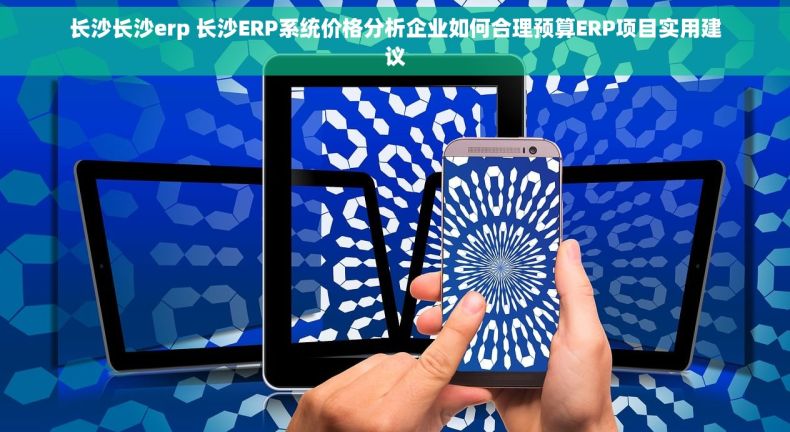 长沙长沙erp 长沙ERP系统价格分析企业如何合理预算ERP项目实用建议