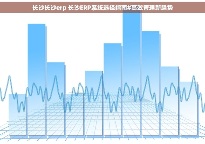 长沙长沙erp 长沙ERP系统选择指南#高效管理新趋势