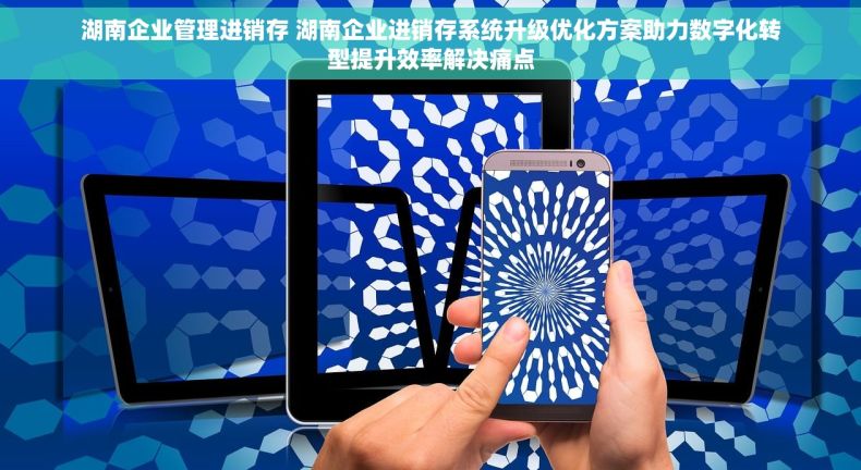 湖南企业管理进销存 湖南企业进销存系统升级优化方案助力数字化转型提升效率解决痛点
