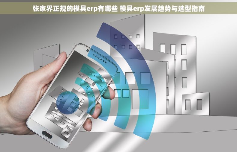 张家界正规的模具erp有哪些 模具erp发展趋势与选型指南