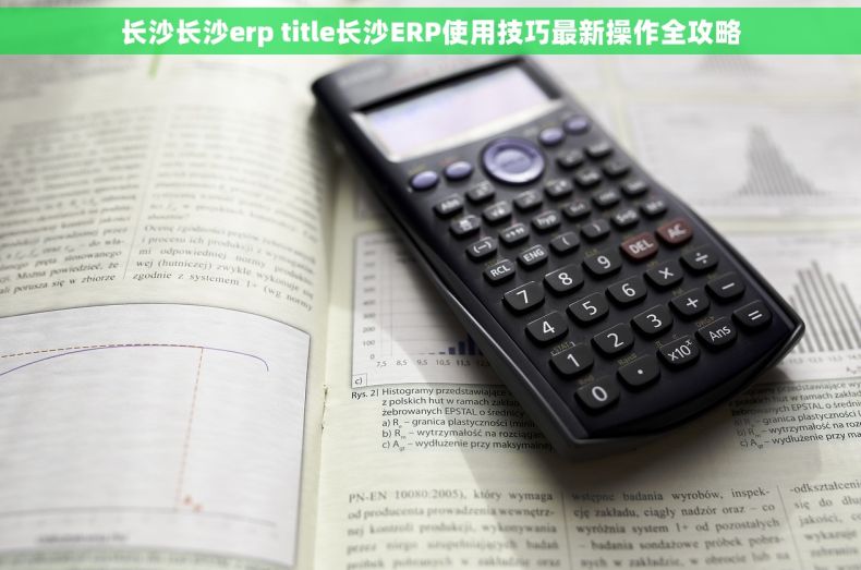 长沙长沙erp title长沙ERP使用技巧最新操作全攻略