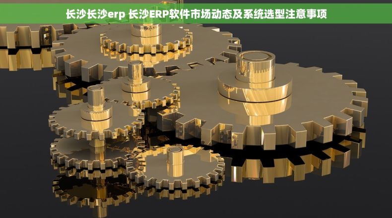 长沙长沙erp 长沙ERP软件市场动态及系统选型注意事项