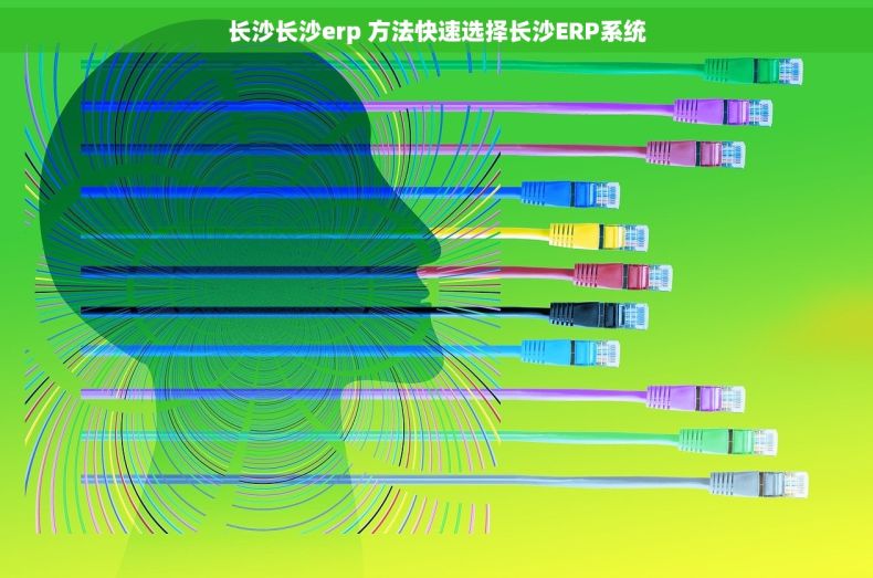 长沙长沙erp 方法快速选择长沙ERP系统
