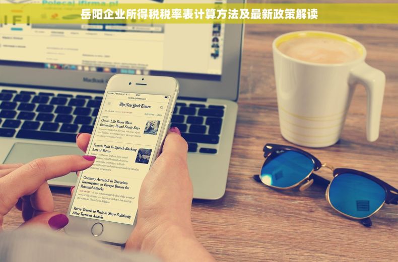 岳阳企业所得税税率表计算方法及最新政策解读