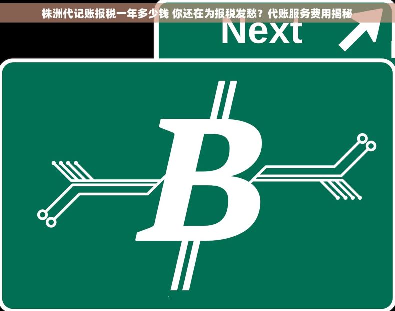 株洲代记账报税一年多少钱 你还在为报税发愁？代账服务费用揭秘