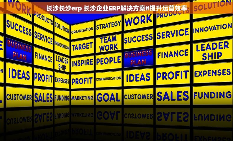长沙长沙erp 长沙企业ERP解决方案#提升运营效率