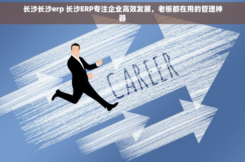 长沙长沙erp 长沙ERP专注企业高效发展，老板都在用的管理神器