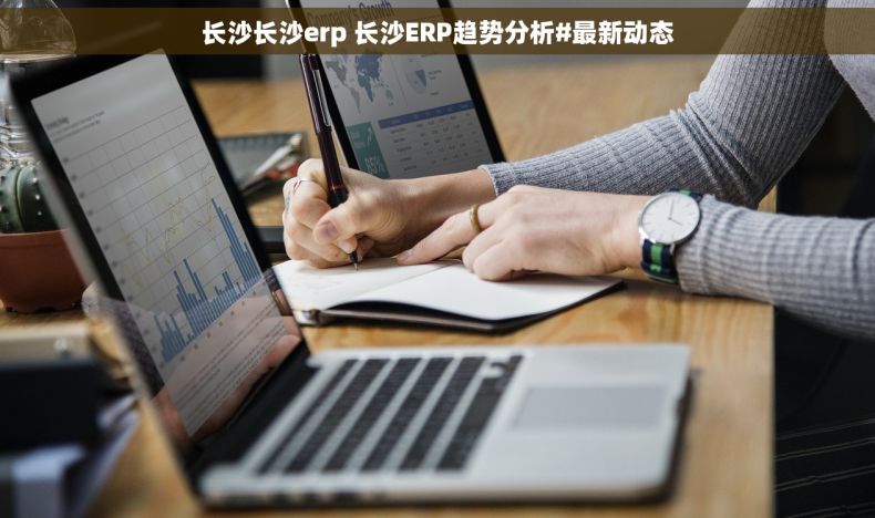 长沙长沙erp 长沙ERP趋势分析#最新动态