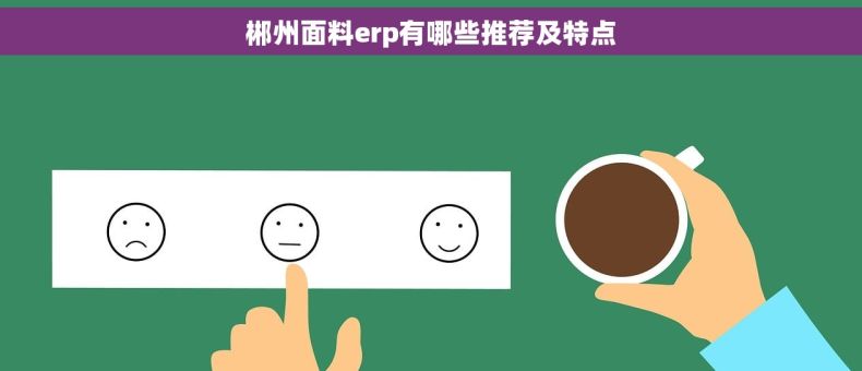 郴州面料erp有哪些推荐及特点