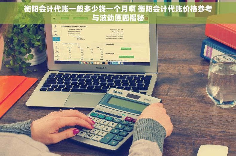 衡阳会计代账一般多少钱一个月啊 衡阳会计代账价格参考与波动原因揭秘