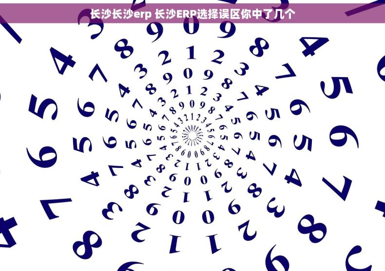 长沙长沙erp 长沙ERP选择误区你中了几个