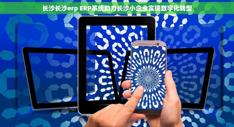 长沙长沙erp ERP系统助力长沙小企业实现数字化转型