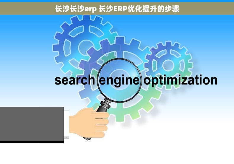 长沙长沙erp 长沙ERP优化提升的步骤