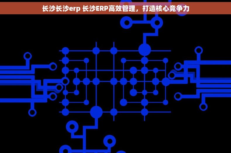 长沙长沙erp 长沙ERP高效管理，打造核心竞争力