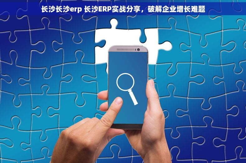 长沙长沙erp 长沙ERP实战分享，破解企业增长难题