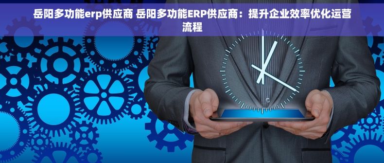 岳阳多功能erp供应商 岳阳多功能ERP供应商：提升企业效率优化运营流程