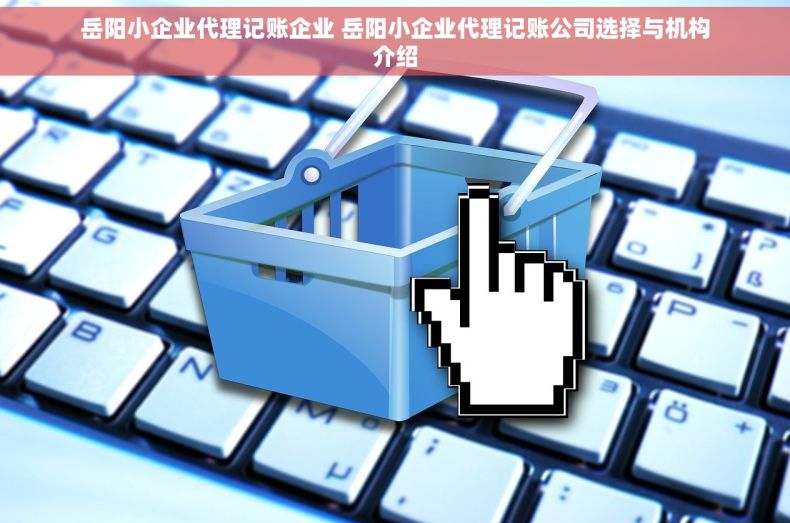 岳阳小企业代理记账企业 岳阳小企业代理记账公司选择与机构介绍