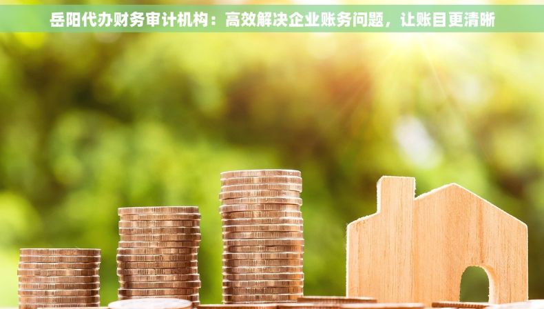 岳阳代办财务审计机构：高效解决企业账务问题，让账目更清晰