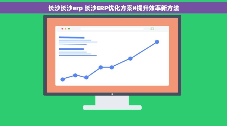 长沙长沙erp 长沙ERP优化方案#提升效率新方法