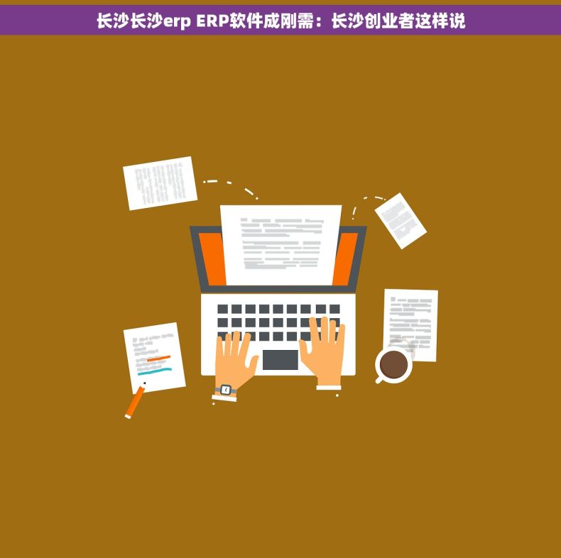 长沙长沙erp ERP软件成刚需：长沙创业者这样说
