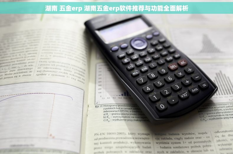湖南 五金erp 湖南五金erp软件推荐与功能全面解析