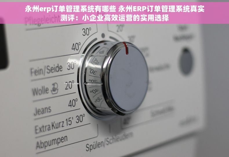 永州erp订单管理系统有哪些 永州ERP订单管理系统真实测评：小企业高效运营的实用选择