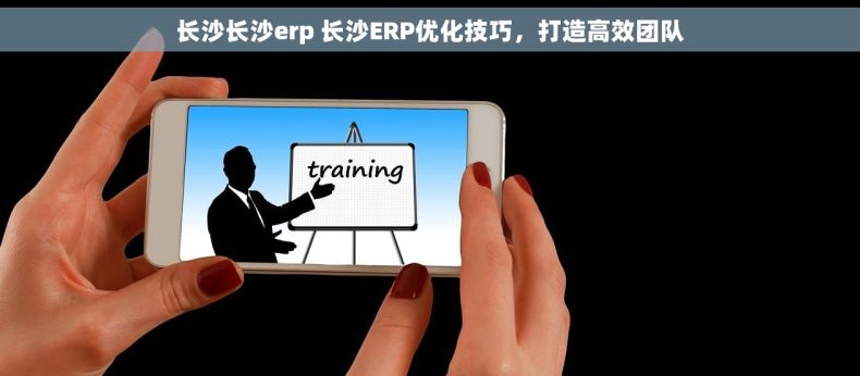 长沙长沙erp 长沙ERP优化技巧，打造高效团队