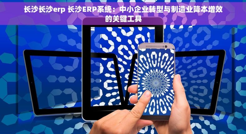 长沙长沙erp 长沙ERP系统：中小企业转型与制造业降本增效的关键工具